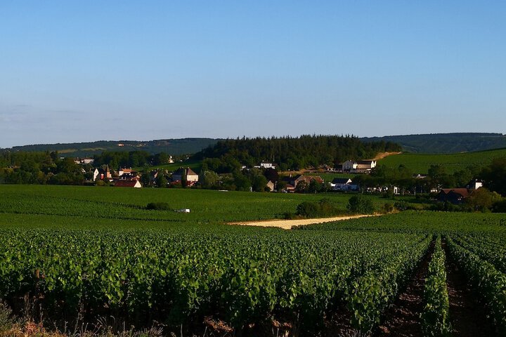Winery