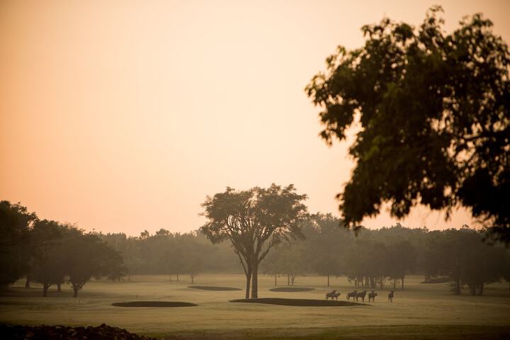 Golf 27 of 53
