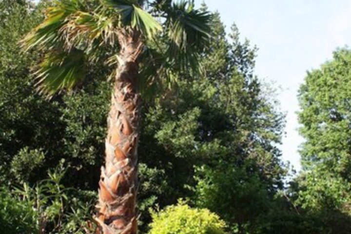 Studio de La Rostagne