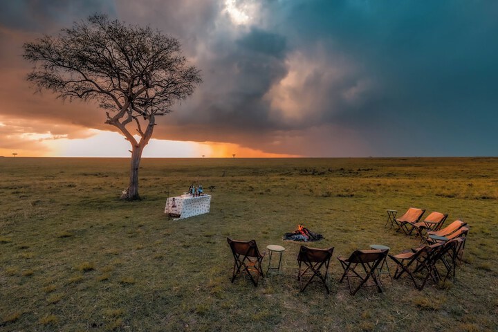 Safari