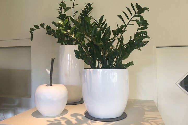 Amenity Photo