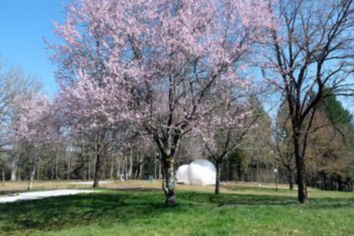 Property Grounds 20 of 20