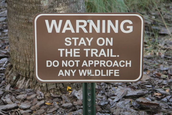 Property Grounds 33 of 41