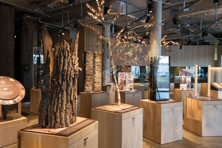 General 32 of 37
