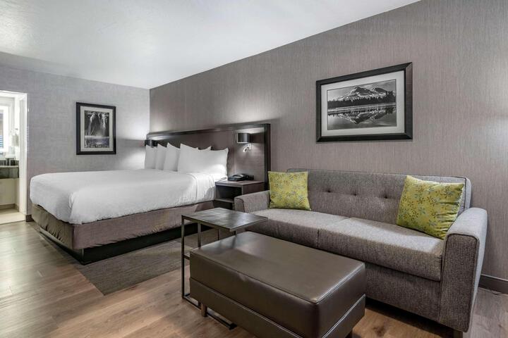 1 King Bed Sofa Bed Pet Friendly Room Work Desk Microwave and Refrigerator Full Breakfast (16 of 17)