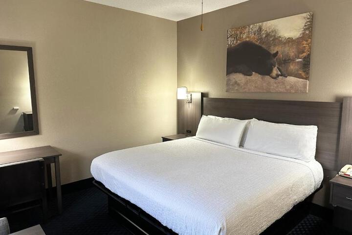 1 King Bed Deluxe No Pets (15 of 30)