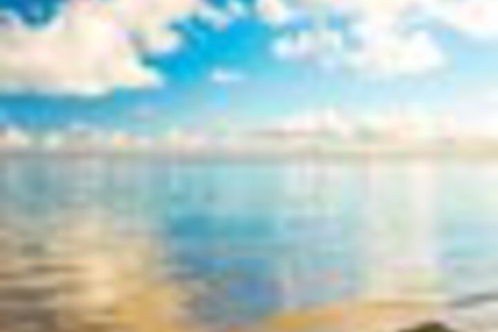 Beach 98 of 120