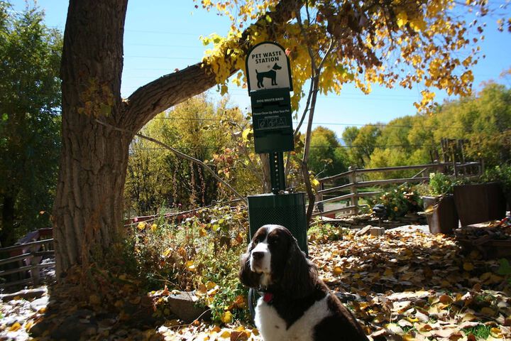 Pet Friendly 89 of 125