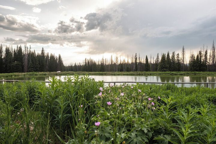 Lake