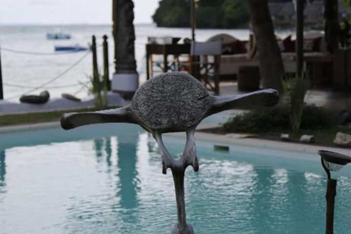 Pool 56 of 85