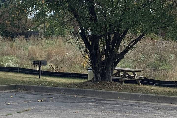 BBQ/picnic area