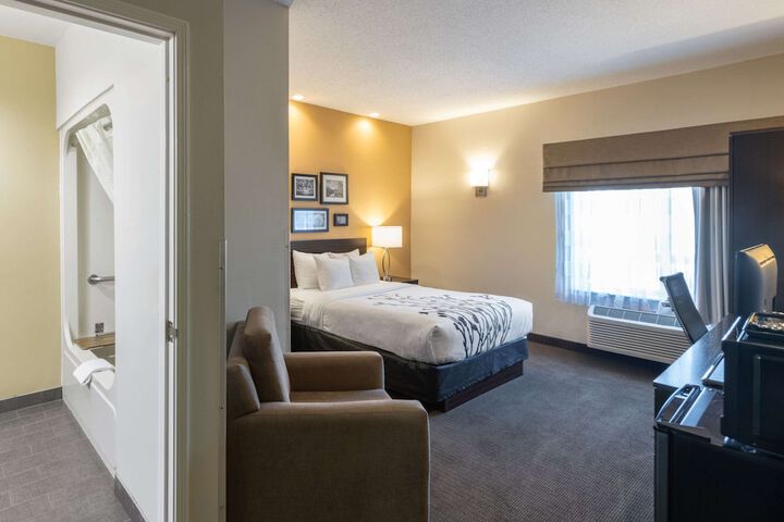 1 Queen Bed Accessible (5 of 14)