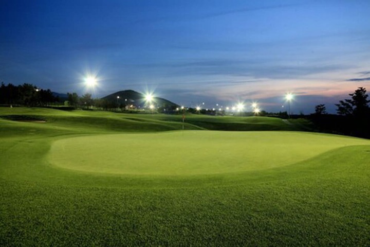 Golf 24 of 42