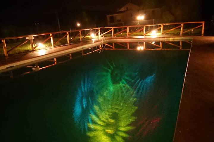 Pool 41 of 64