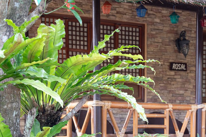 Terrace/Patio 26 of 69