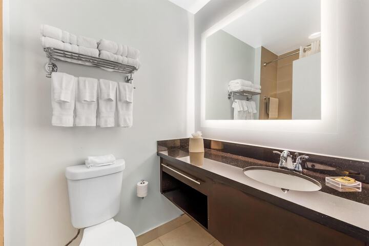 Bathroom Interior Photo