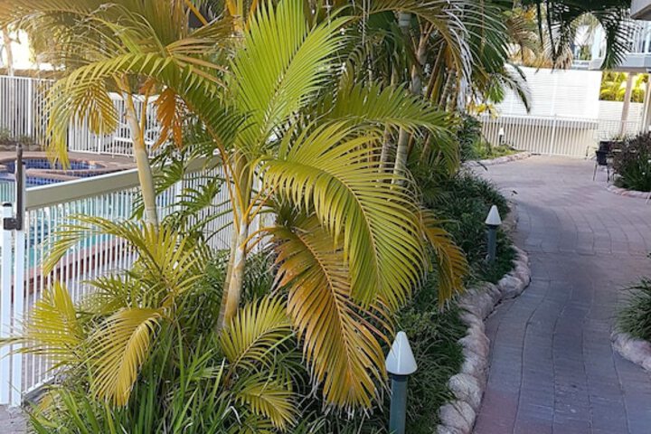 Hotel Exterior 133 of 136