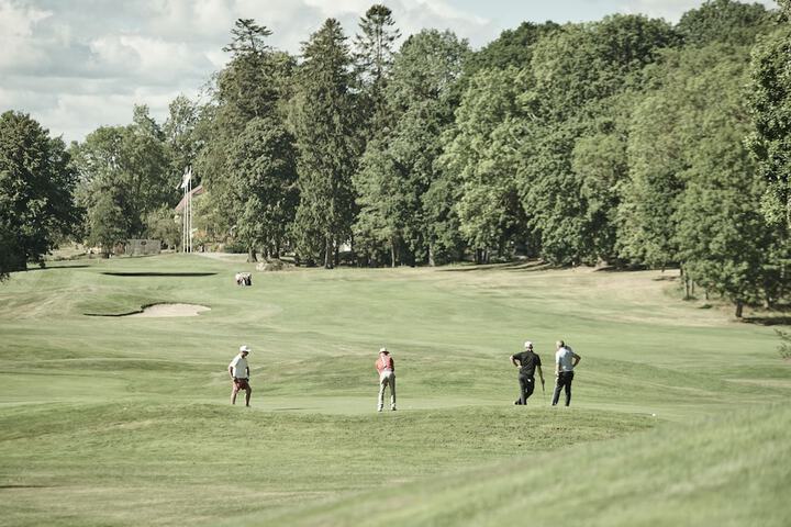 Golf 12 of 30