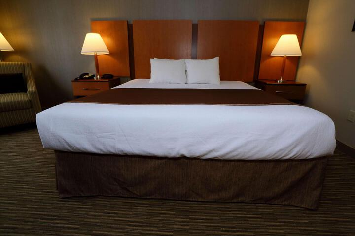 1 King Bed Flat Screen Television Microwave and Refrigerator High Speed Internet Accessible Coffee Maker, Hairdryer Full Breakfast (14 of 15)