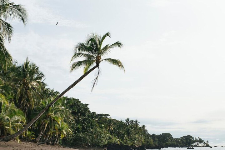 Beach 4 of 5