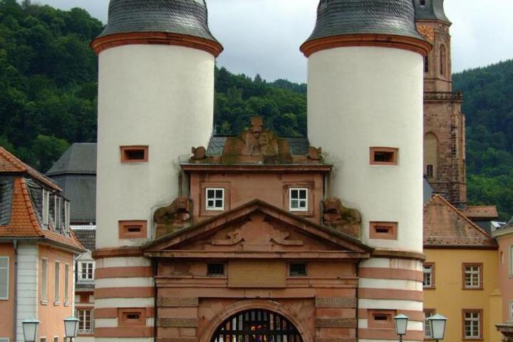 Photo 19