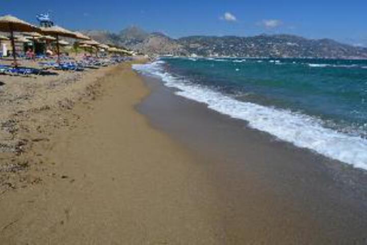 Beach 11 of 23