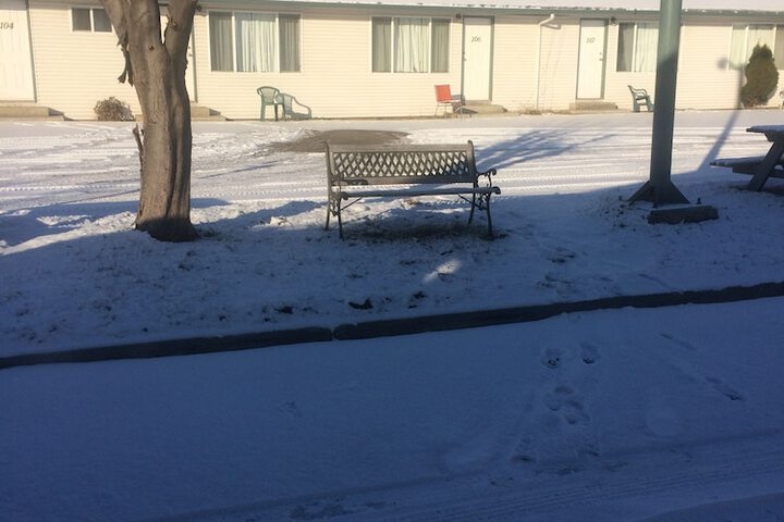 View from property