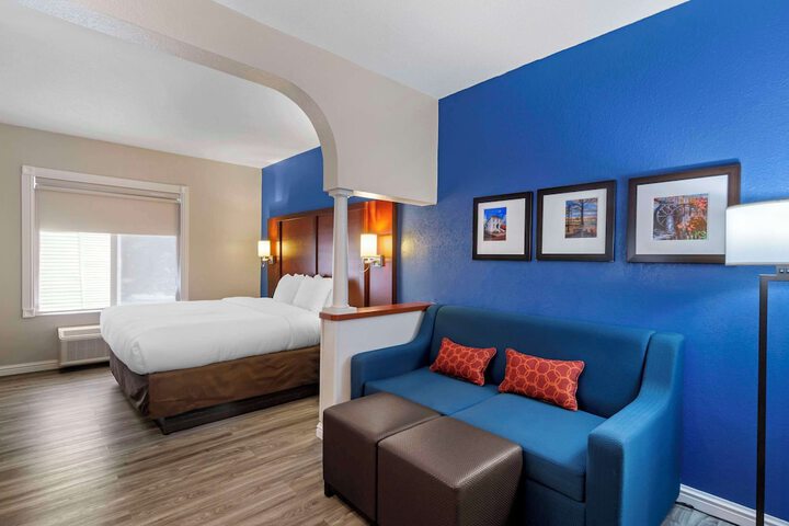 1 King Bed Suite (22 of 25)