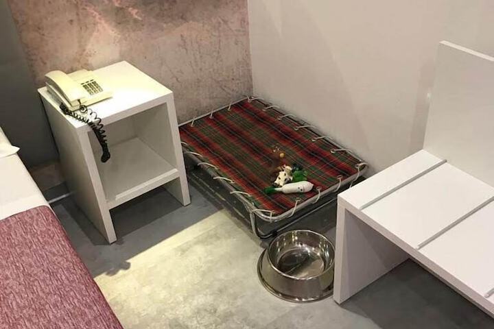 Pet Friendly 60 of 108