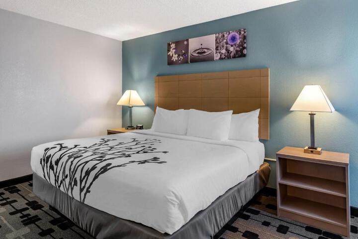1 King Bed (4 of 13)