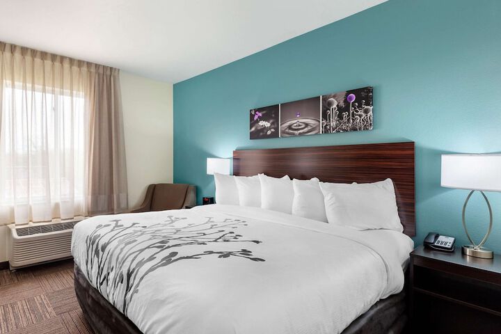 1 King Bed (11 of 13)