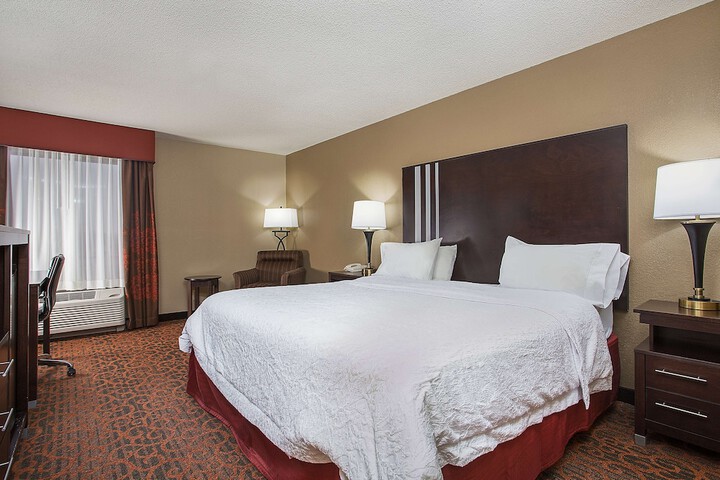 1 King 1 Bedroom Suite with Sofa Bed (8 of 10)