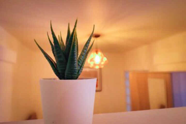 Room 21 of 24