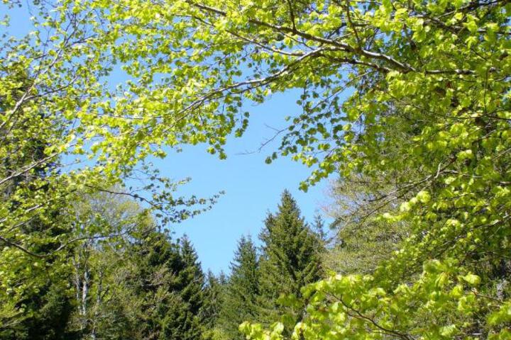 Photo 30
