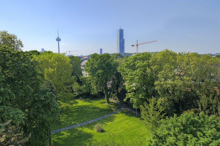 View from room