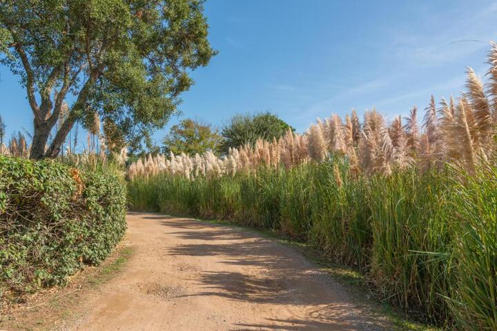 General 16 of 100