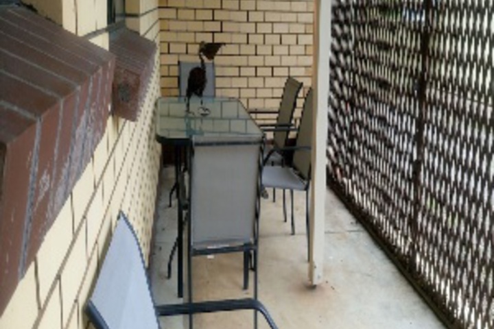 Terrace/Patio 260 of 407