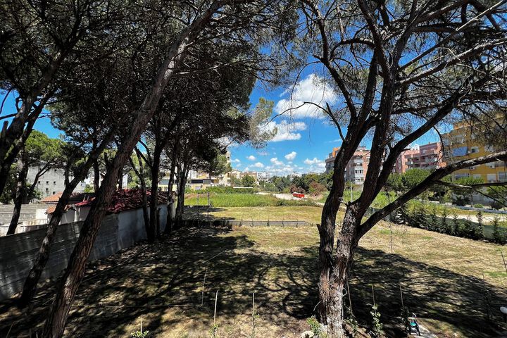 Property Grounds 14 of 15