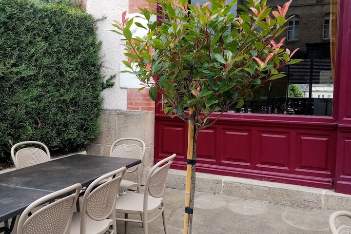 Terrace/Patio 9 of 22