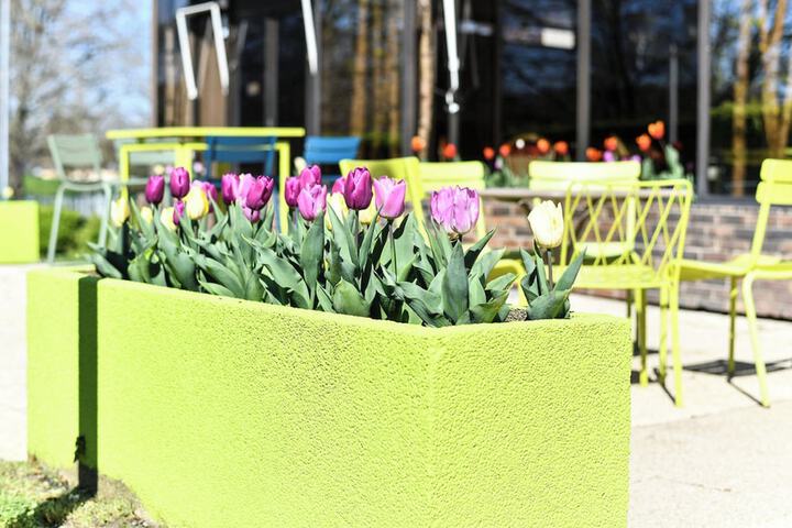 Terrace/Patio 117 of 125