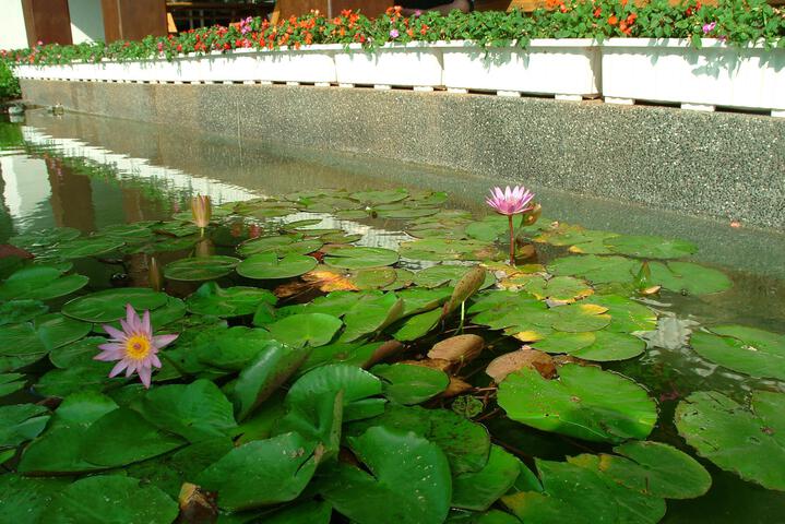 Moon Shy Kenting Boutique Hotel