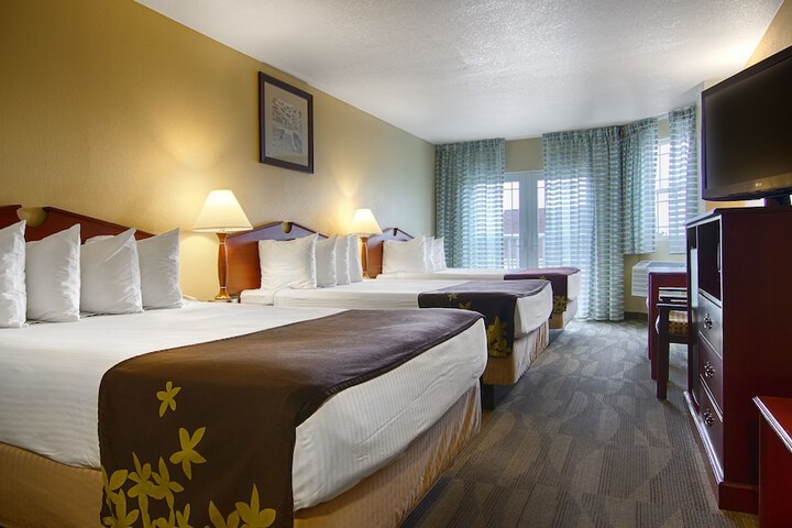 Double Room Accessible Refrigerator, Microwave (9 of 12)