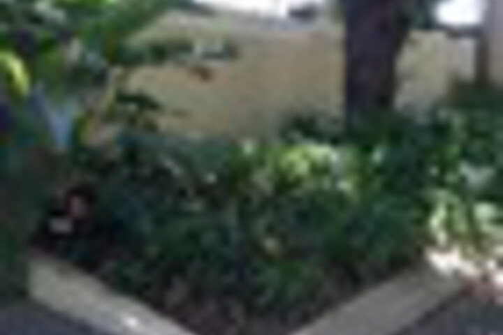 Property Grounds 110 of 117