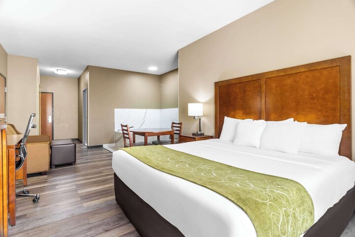 1 King Bed Suite (16 of 26)