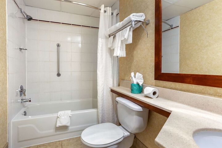 1 King Bed Suite (7 of 14)
