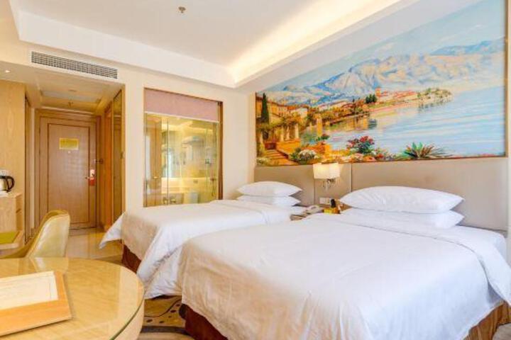 Vienna International Hotel (Gaoxin Keji Road Metro Station Store)