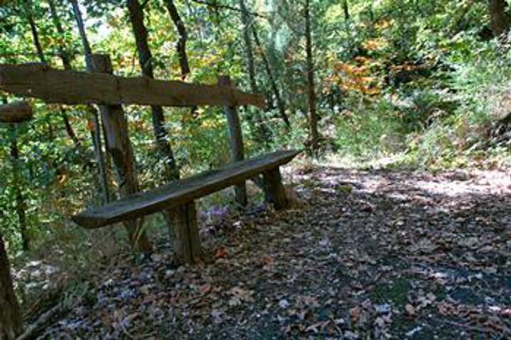 Property Grounds 36 of 39