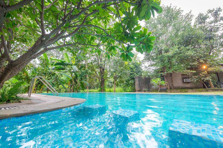 Mahua Vann Pench