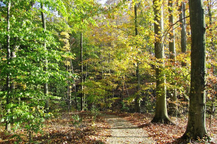 Outdoor Activities 287 of 345