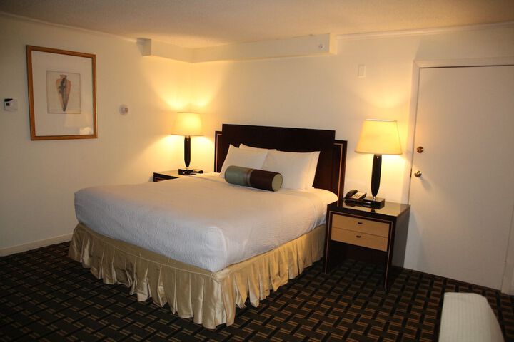 Standard | King Bed (5 of 14)